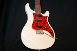 Paul Reed Smith PRS SE EG Tremolo E-Gitarre