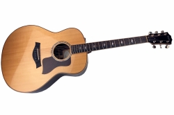 Taylor Deluxe Series 818e Grand Orchestra Akustik Elektrik Gitarre