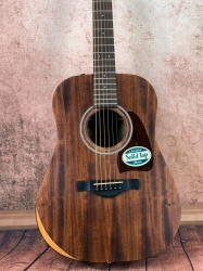 Ibanez Artwood Vintage AW54JR-OPN