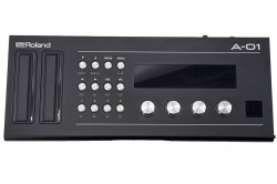 Roland Boutique Synthesizer A-01