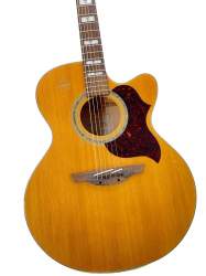 Takamine EG523SC Westerngitarre + Fame Koffer