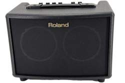 Roland AC-33 Stereo Akustik Amp +  Aer Tasche